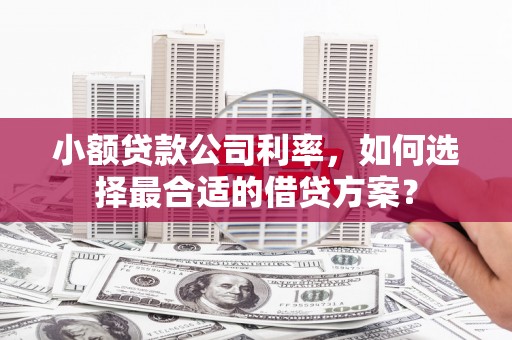 呼图壁小额贷款公司利率，如何选择最合适的借贷方案？