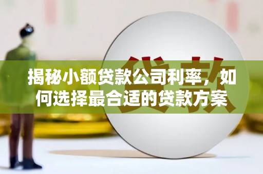 张北揭秘小额贷款公司利率，如何选择最合适的贷款方案