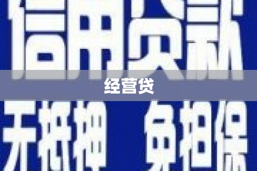 盘龙经营贷