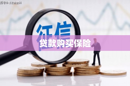 天涯贷款购买保险