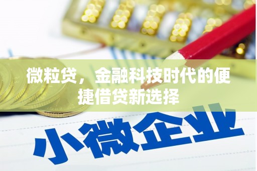 涟水微粒贷，金融科技时代的便捷借贷新选择