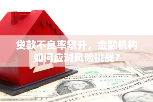 定远贷款不良率攀升，金融机构如何应对风险挑战？