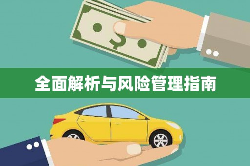芒市全面解析与风险管理指南