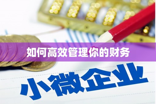 泸西如何高效管理你的财务