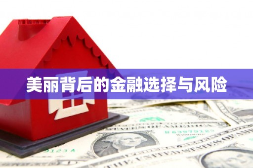 安仁美丽背后的金融选择与风险