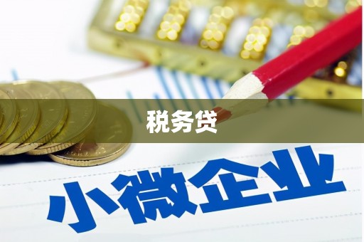 泸水税务贷