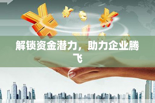 新洲解锁资金潜力，助力企业腾飞