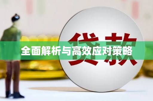 新界全面解析与高效应对策略