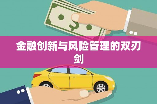 苑里金融创新与风险管理的双刃剑