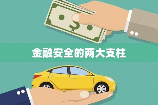 郴州金融安全的两大支柱