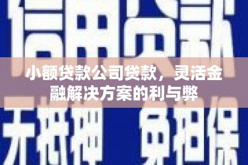 肇东小额贷款公司贷款，灵活金融解决方案的利与弊