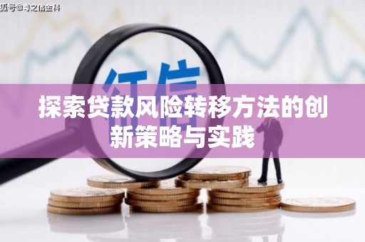 顺河探索贷款风险转移方法的创新策略与实践