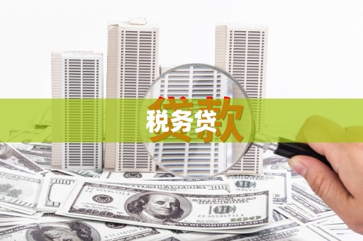 郸城税务贷