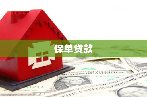 尖石保单贷款 尖石保单贷款